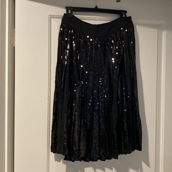 Beautif, sparkly chiffon skirt w/black sequins on pleats - Picture 3 of 3